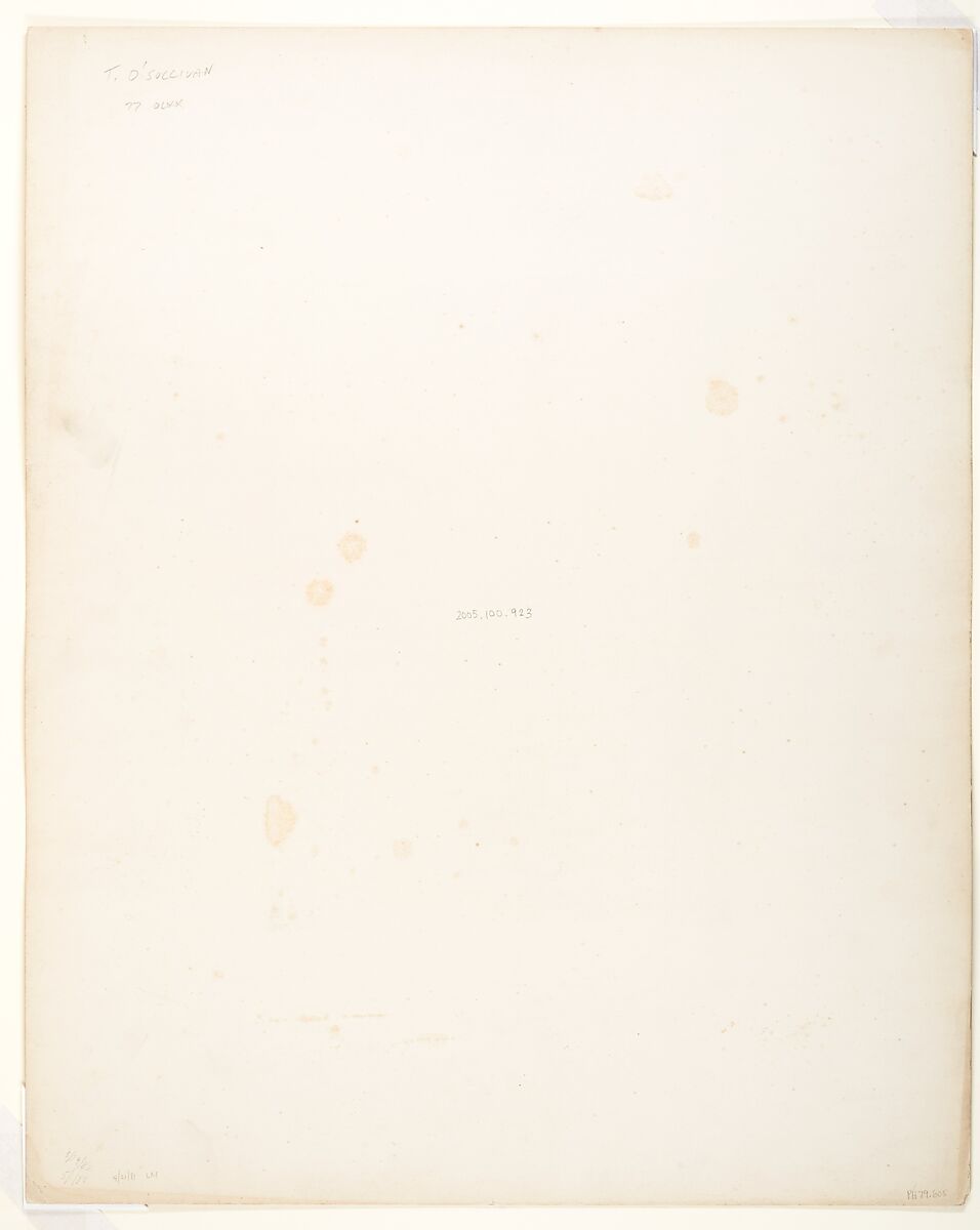 Tropical Scenery, The Brook El Bano, Chipigana, John Moran (American (born England), Bolton, Lancashire 1821–1903 Pennsylvania), Albumen silver print from glass negative