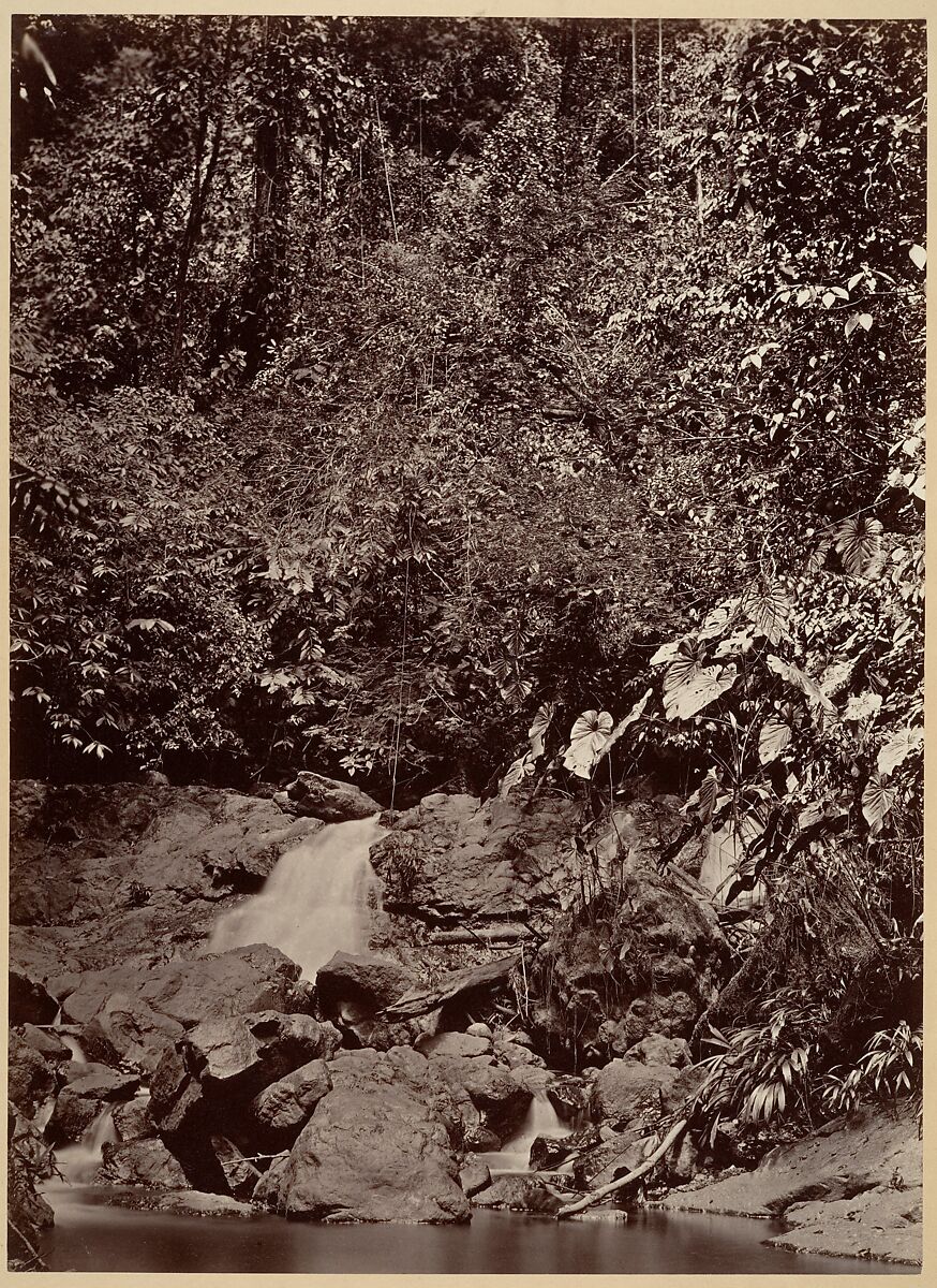 Tropical Scenery, Cascade, Limon River, John Moran (American (born England), Bolton, Lancashire 1821–1903 Pennsylvania), Albumen silver print from glass negative 