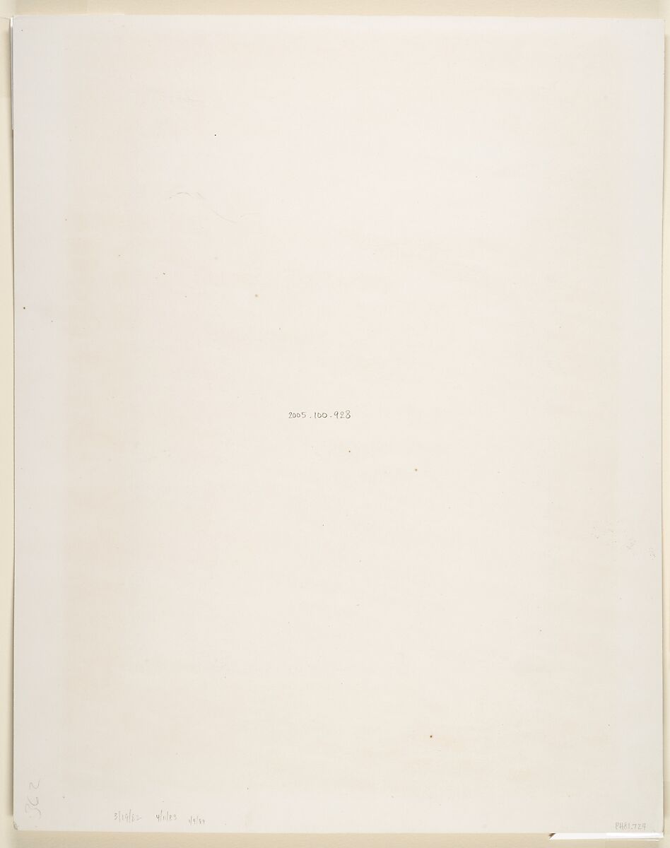 Tropical Scenery, Cascade, Limon River, John Moran (American (born England), Bolton, Lancashire 1821–1903 Pennsylvania), Albumen silver print from glass negative