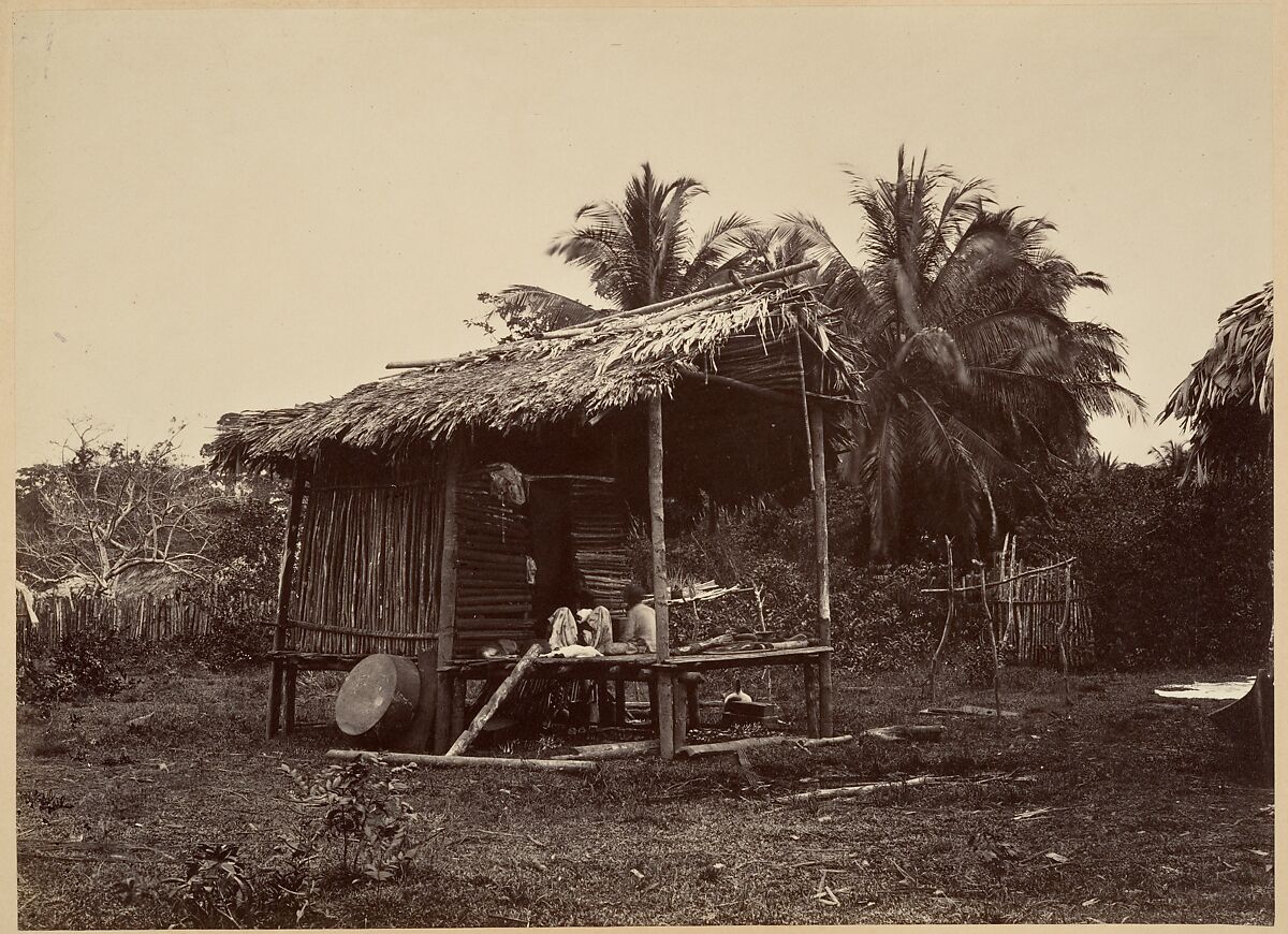 Tropical Scenery, Native Hut, Turbo, John Moran (American (born England), Bolton, Lancashire 1821–1903 Pennsylvania), Albumen silver print from glass negative 