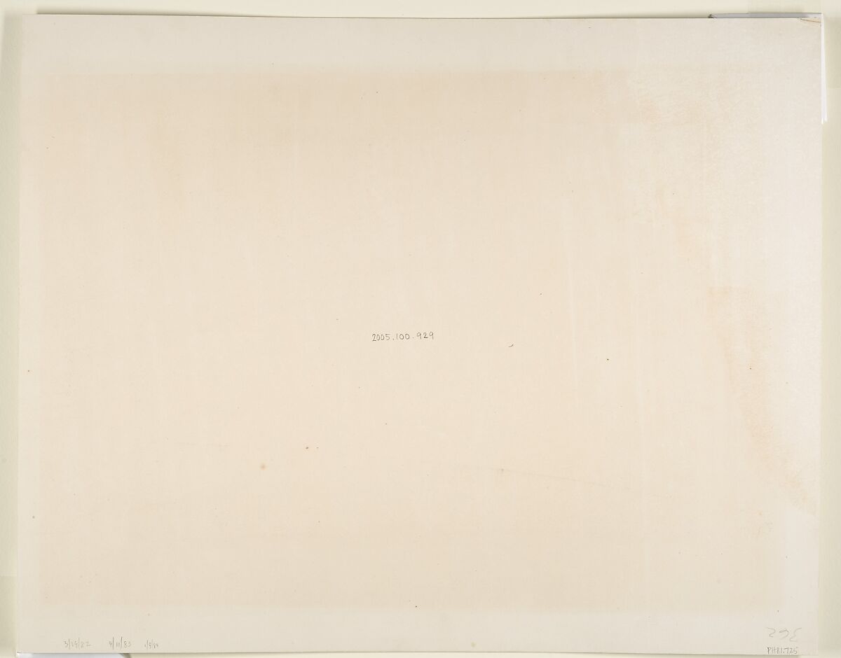 Tropical Scenery, Native Hut, Turbo, John Moran (American (born England), Bolton, Lancashire 1821–1903 Pennsylvania), Albumen silver print from glass negative