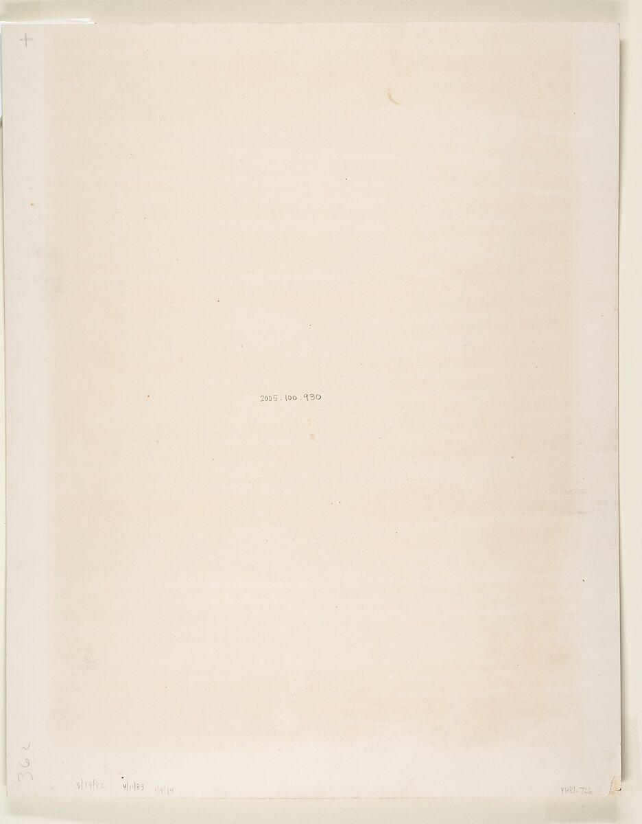 Tropical Scenery, Tropical Forest, John Moran (American (born England), Bolton, Lancashire 1821–1903 Pennsylvania), Albumen silver print from glass negative