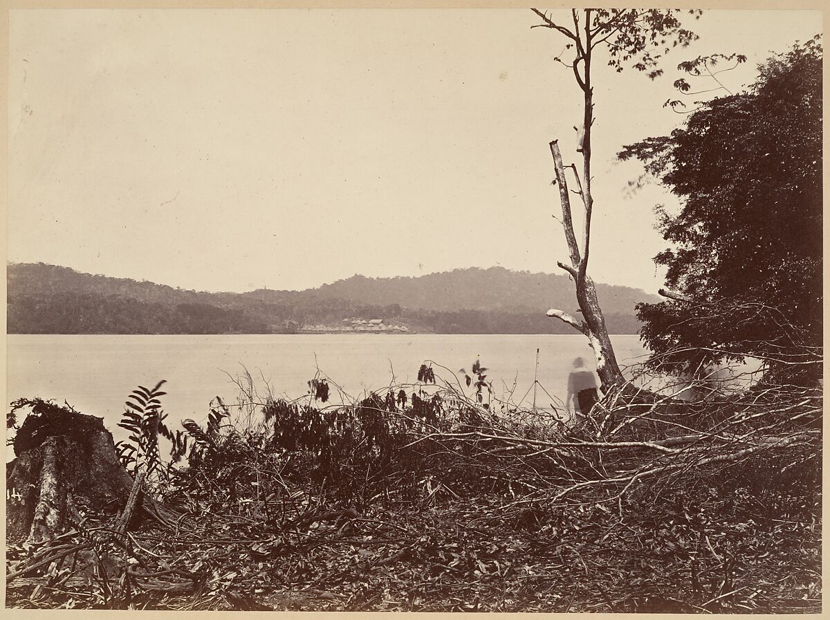 Tropical Scenery, Darien Harbor, Chipigana, John Moran (American (born England), Bolton, Lancashire 1821–1903 Pennsylvania), Albumen silver print from glass negative 
