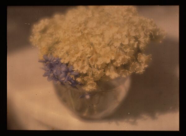 [Flowers in a Bowl], Heinrich Kühn (Austrian (born Germany), Dresden 1866–1944 Birgitz), Autochrome 