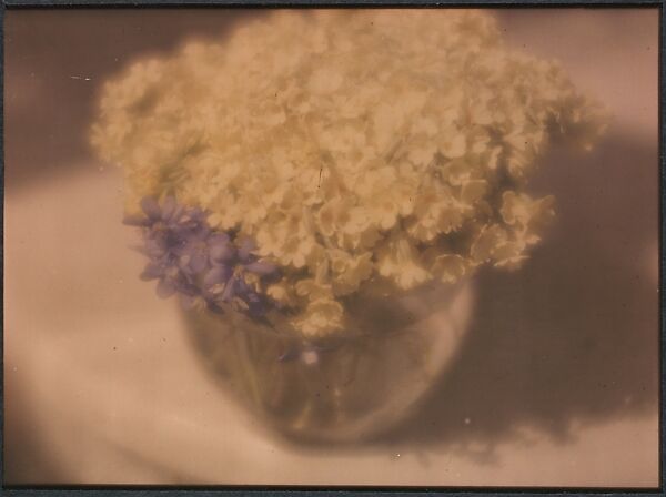 [Flowers in a Bowl], Heinrich Kühn (Austrian (born Germany), Dresden 1866–1944 Birgitz), Autochrome