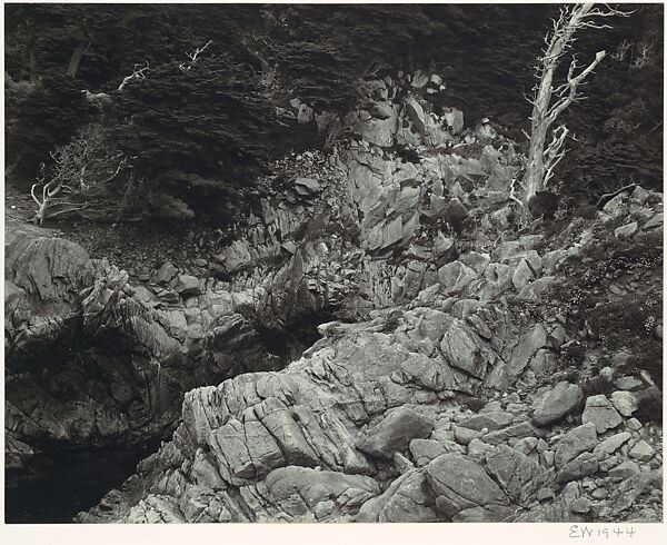 Point Lobos, Edward Weston (American, Highland Park, Illinois 1886–1958 Carmel, California), Gelatin silver print 