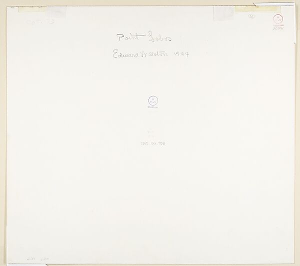 Point Lobos, Edward Weston (American, Highland Park, Illinois 1886–1958 Carmel, California), Gelatin silver print