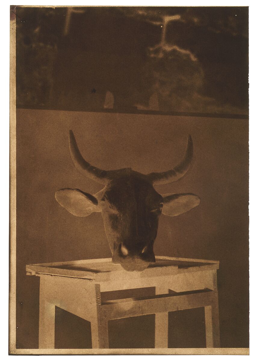 [Still Life], Louis-Rémy Robert (French, 1810–1882), Paper negative 