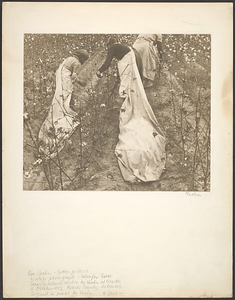 Cotton Pickers, Pulaski County, Arkansas, Ben Shahn  American, born Lithuania, Gelatin silver print