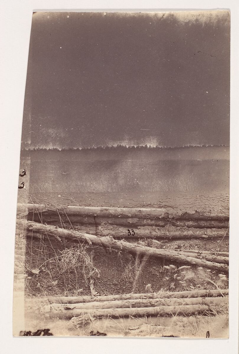 [The Wilderness Battlefield], Unknown (American), Albumen silver prints from glass negatives 