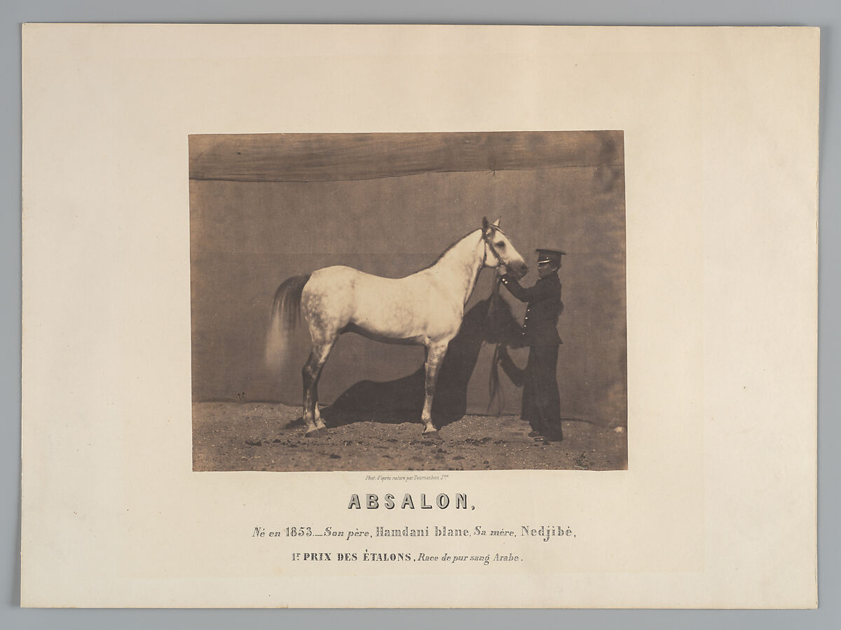 Absalon, Adrien Tournachon (French, 1825–1903), Salted paper print or albumen print 