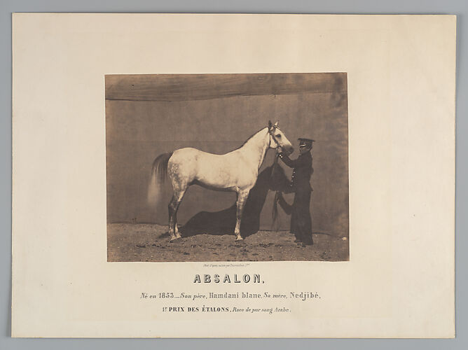 Absalon