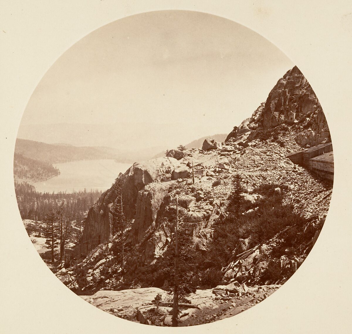 [Trees in Calaveras Grove and Views of Yosemite, California], Carleton E. Watkins (American, 1829–1916), Albumen silver prints from glass negatives