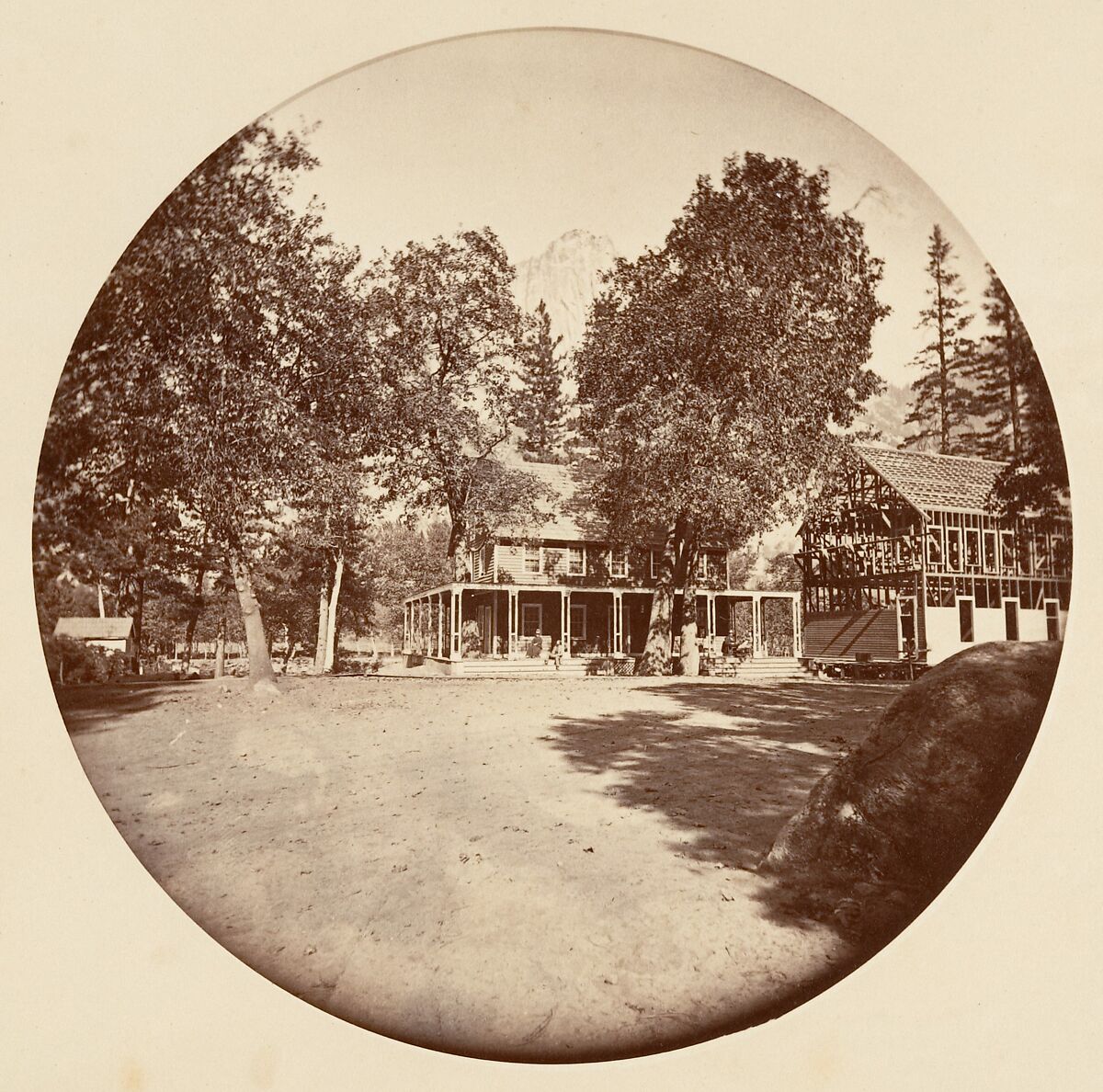 [Trees in Calaveras Grove and Views of Yosemite, California], Carleton E. Watkins (American, 1829–1916), Albumen silver prints from glass negatives