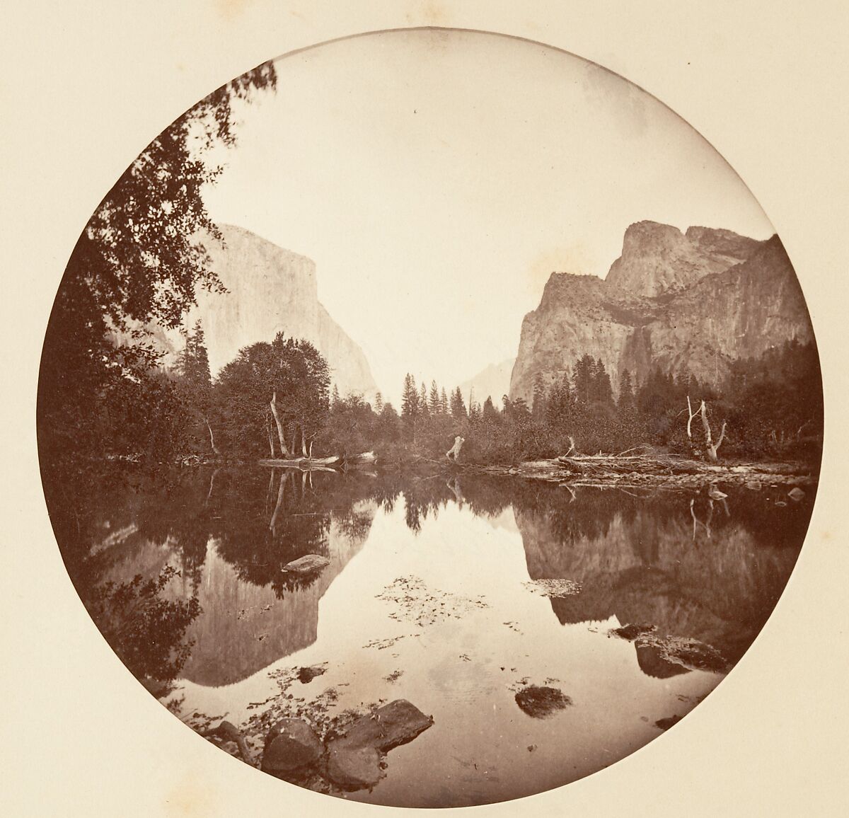 [Trees in Calaveras Grove and Views of Yosemite, California], Carleton E. Watkins (American, 1829–1916), Albumen silver prints from glass negatives