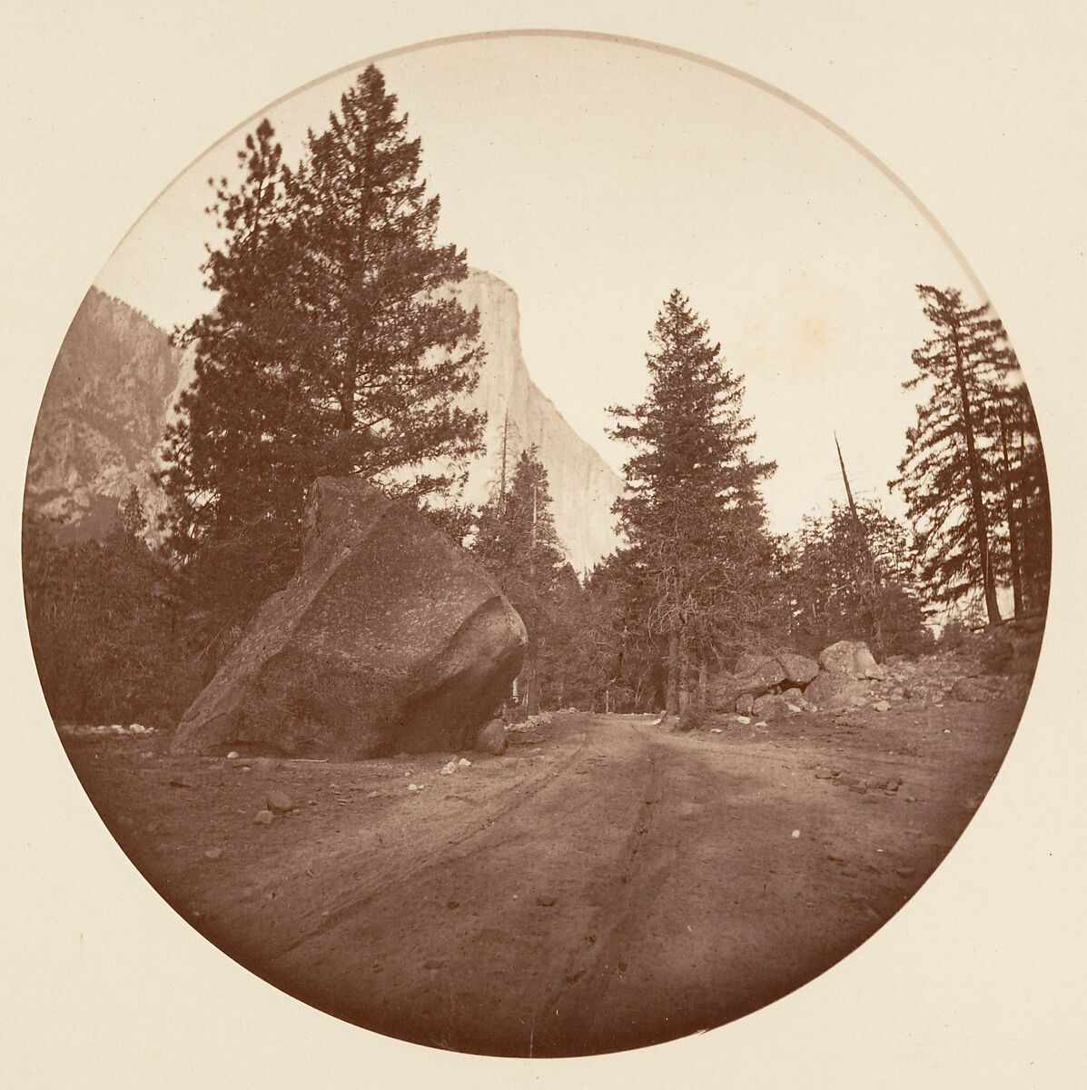 [Trees in Calaveras Grove and Views of Yosemite, California], Carleton E. Watkins (American, 1829–1916), Albumen silver prints from glass negatives