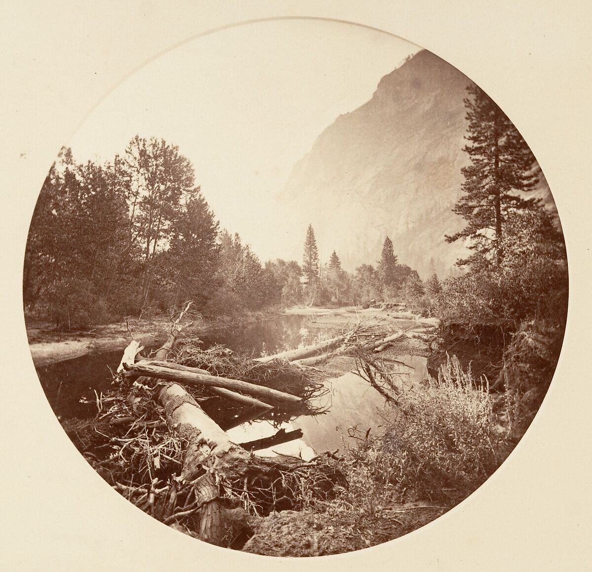 [Trees in Calaveras Grove and Views of Yosemite, California], Carleton E. Watkins (American, 1829–1916), Albumen silver prints from glass negatives