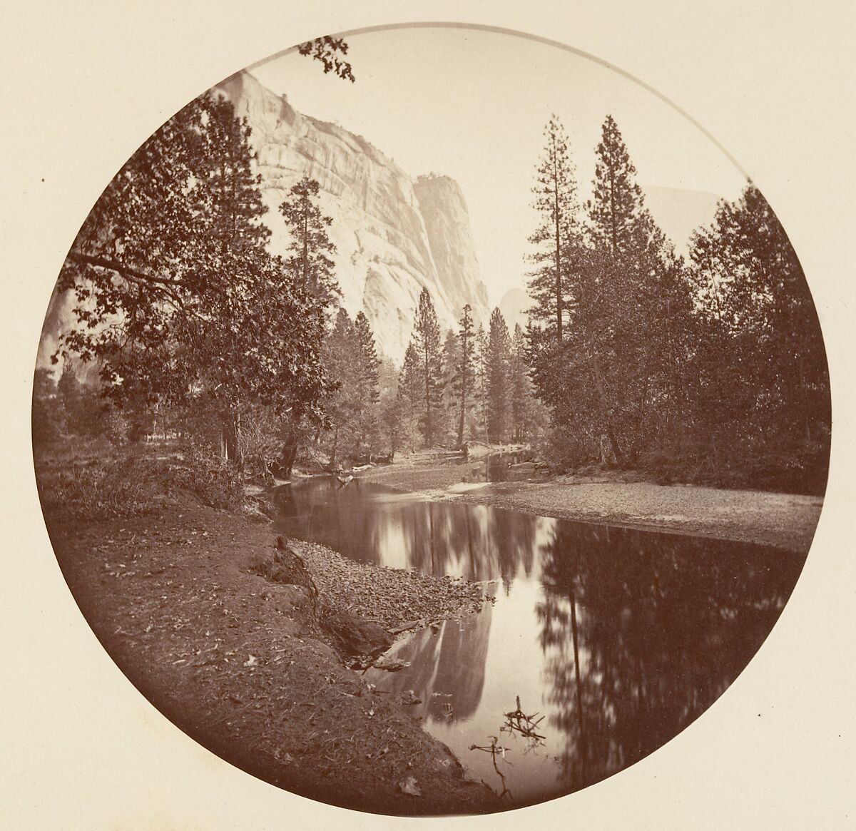 [Trees in Calaveras Grove and Views of Yosemite, California], Carleton E. Watkins (American, 1829–1916), Albumen silver prints from glass negatives