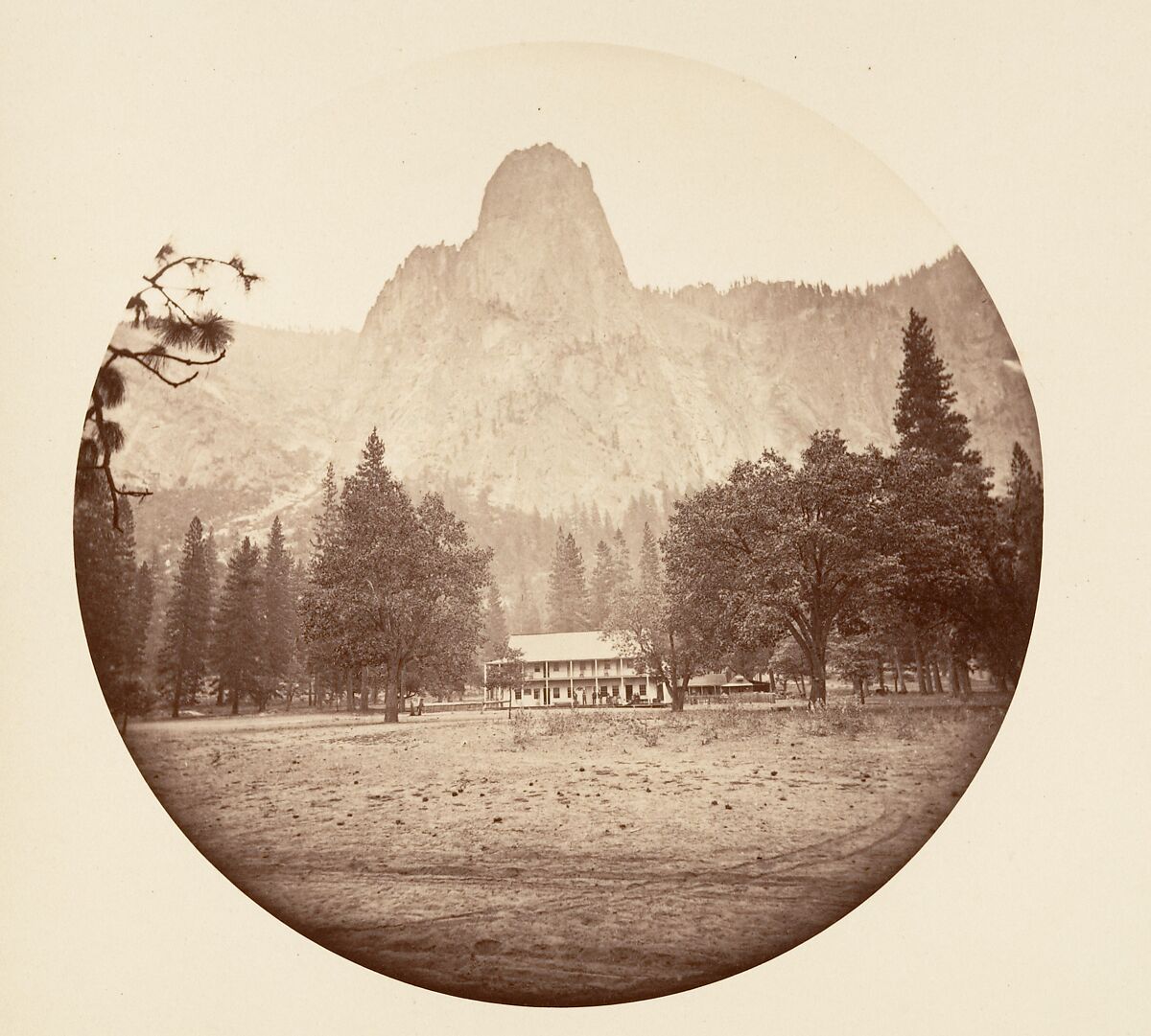 [Trees in Calaveras Grove and Views of Yosemite, California], Carleton E. Watkins (American, 1829–1916), Albumen silver prints from glass negatives