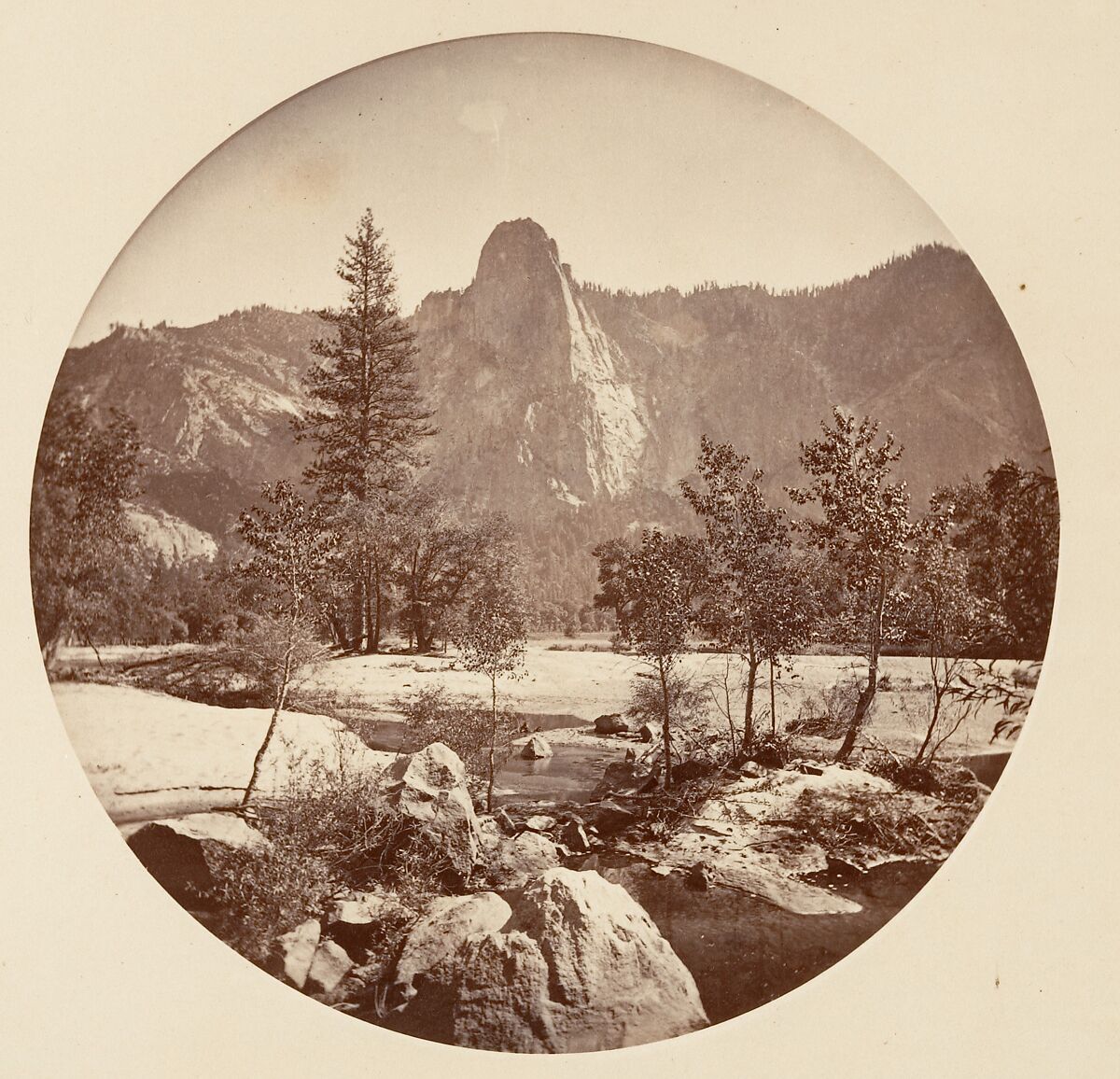 [Trees in Calaveras Grove and Views of Yosemite, California], Carleton E. Watkins (American, 1829–1916), Albumen silver prints from glass negatives