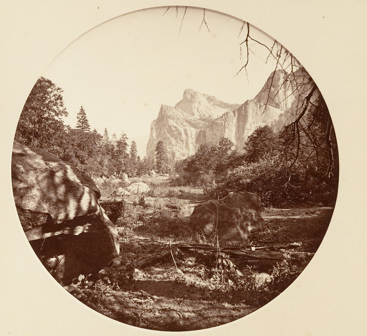 [Trees in Calaveras Grove and Views of Yosemite, California], Carleton E. Watkins (American, 1829–1916), Albumen silver prints from glass negatives