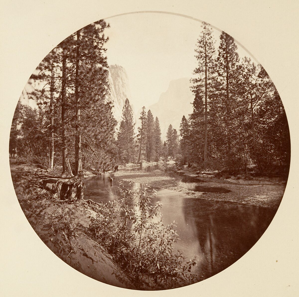[Trees in Calaveras Grove and Views of Yosemite, California], Carleton E. Watkins (American, 1829–1916), Albumen silver prints from glass negatives