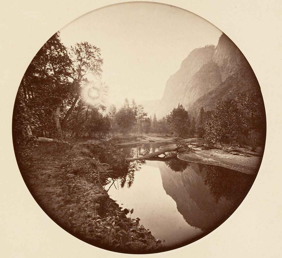 [Trees in Calaveras Grove and Views of Yosemite, California], Carleton E. Watkins (American, 1829–1916), Albumen silver prints from glass negatives