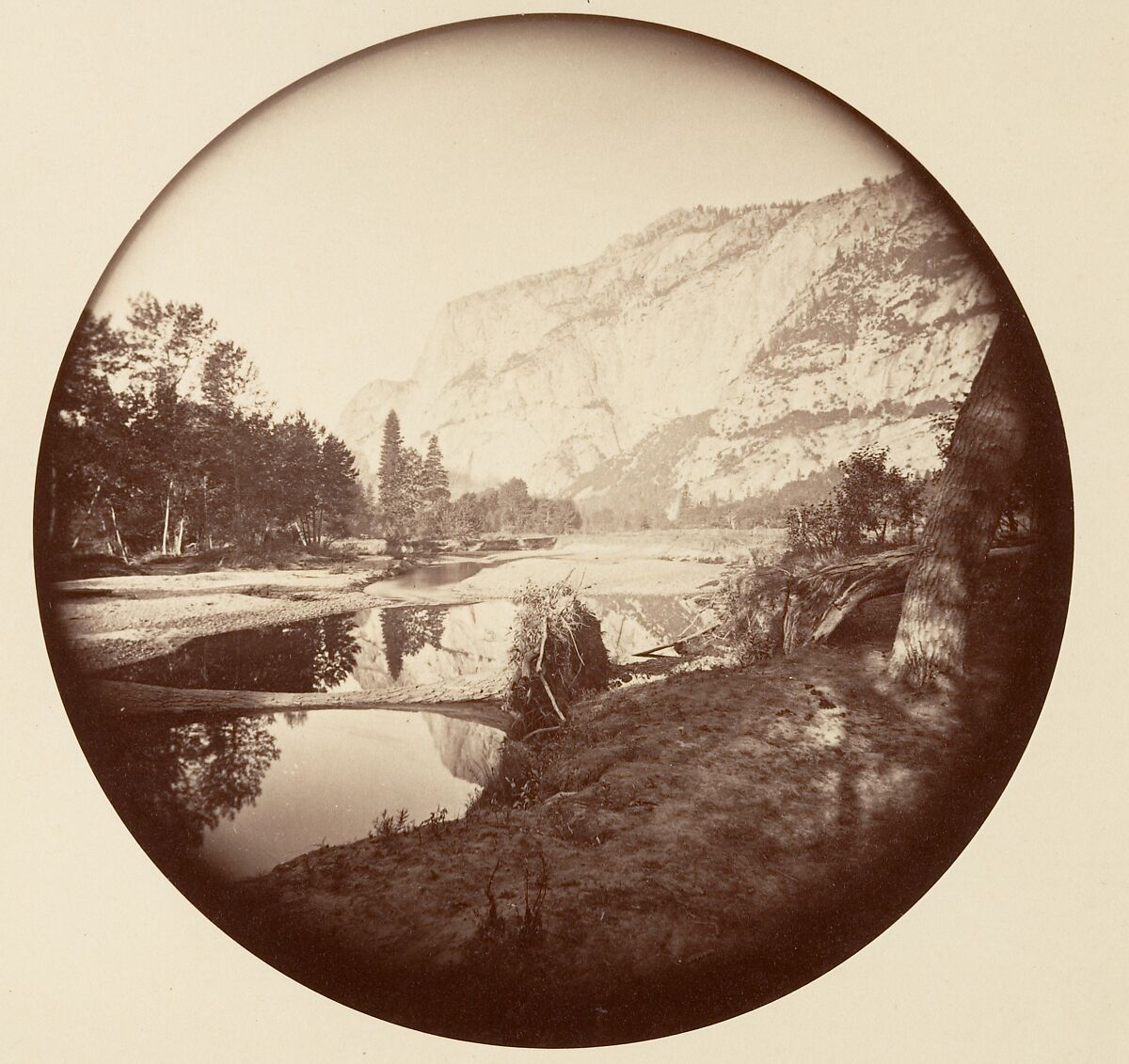 [Trees in Calaveras Grove and Views of Yosemite, California], Carleton E. Watkins (American, 1829–1916), Albumen silver prints from glass negatives