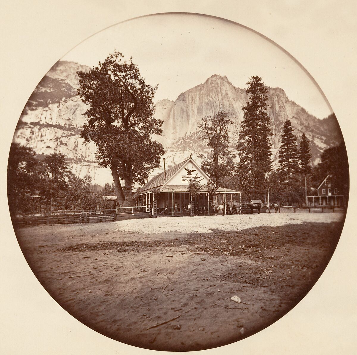 [Trees in Calaveras Grove and Views of Yosemite, California], Carleton E. Watkins (American, 1829–1916), Albumen silver prints from glass negatives