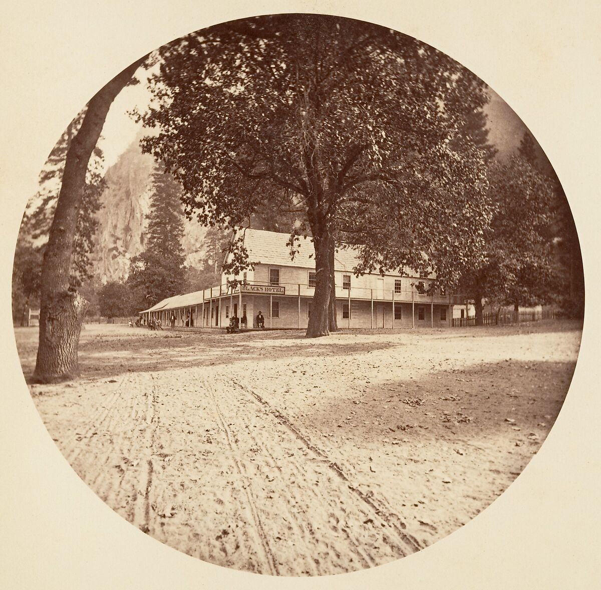 [Trees in Calaveras Grove and Views of Yosemite, California], Carleton E. Watkins (American, 1829–1916), Albumen silver prints from glass negatives