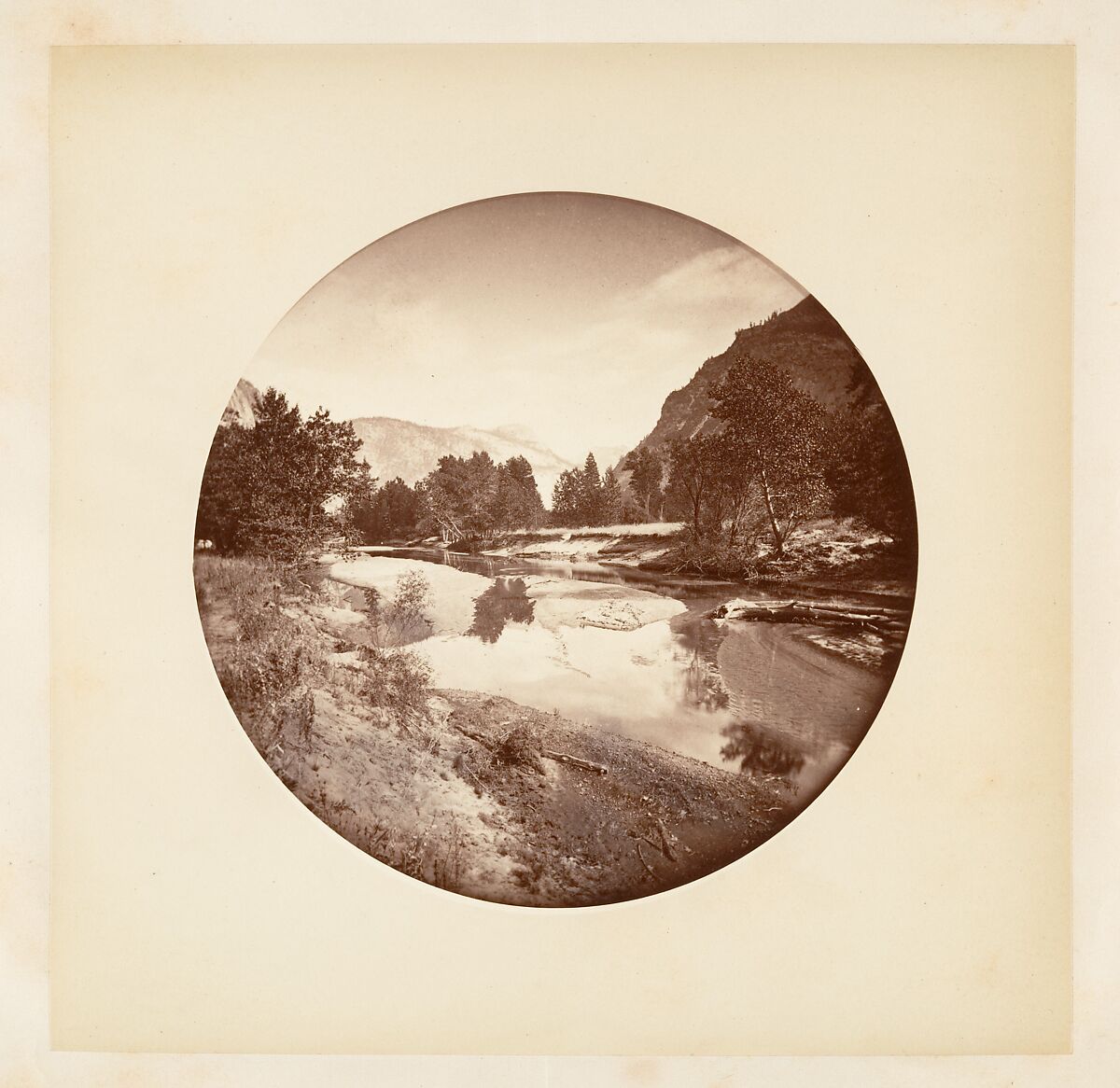 [Trees in Calaveras Grove and Views of Yosemite, California], Carleton E. Watkins (American, 1829–1916), Albumen silver prints from glass negatives