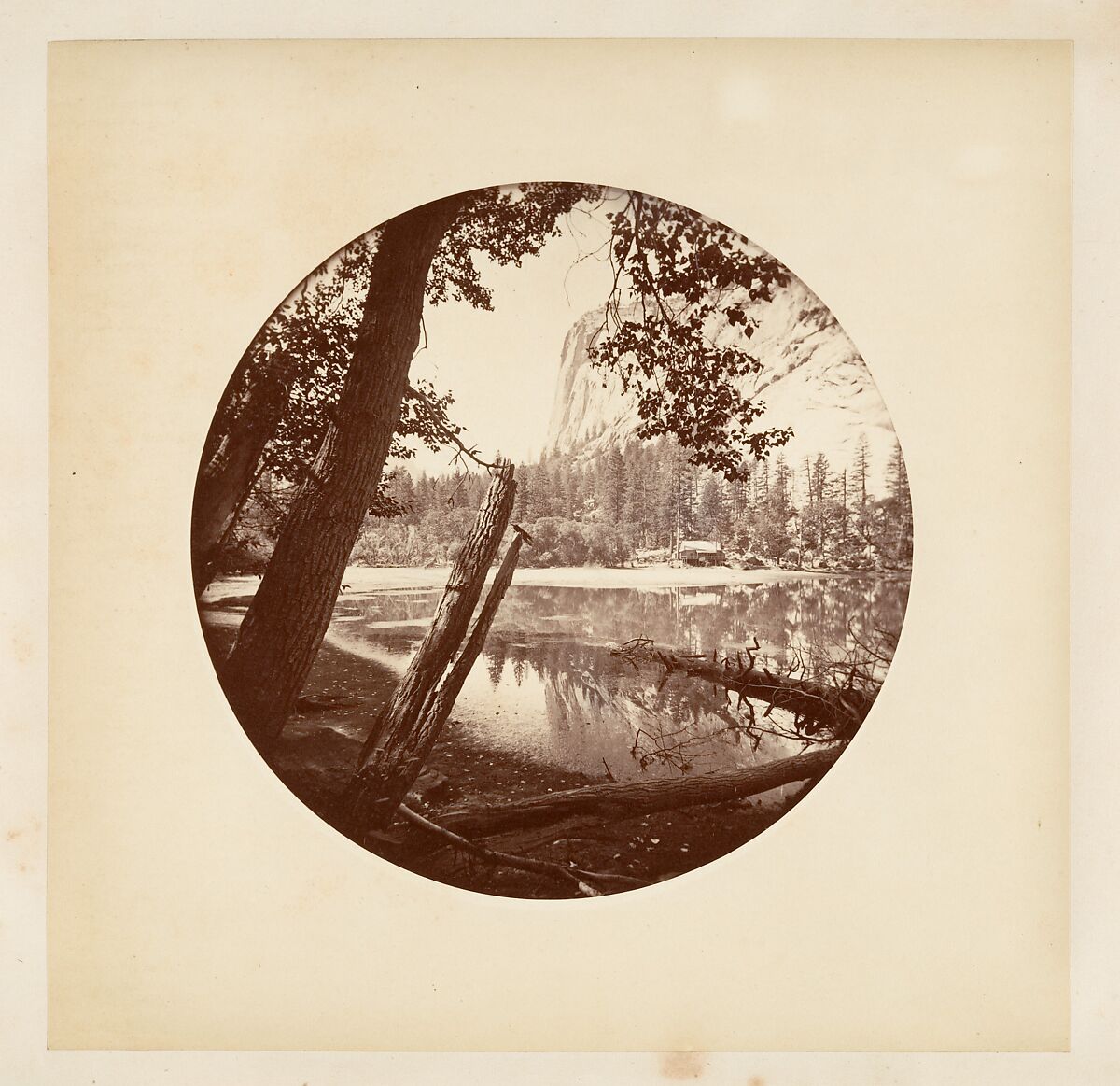 [Trees in Calaveras Grove and Views of Yosemite, California], Carleton E. Watkins (American, 1829–1916), Albumen silver prints from glass negatives