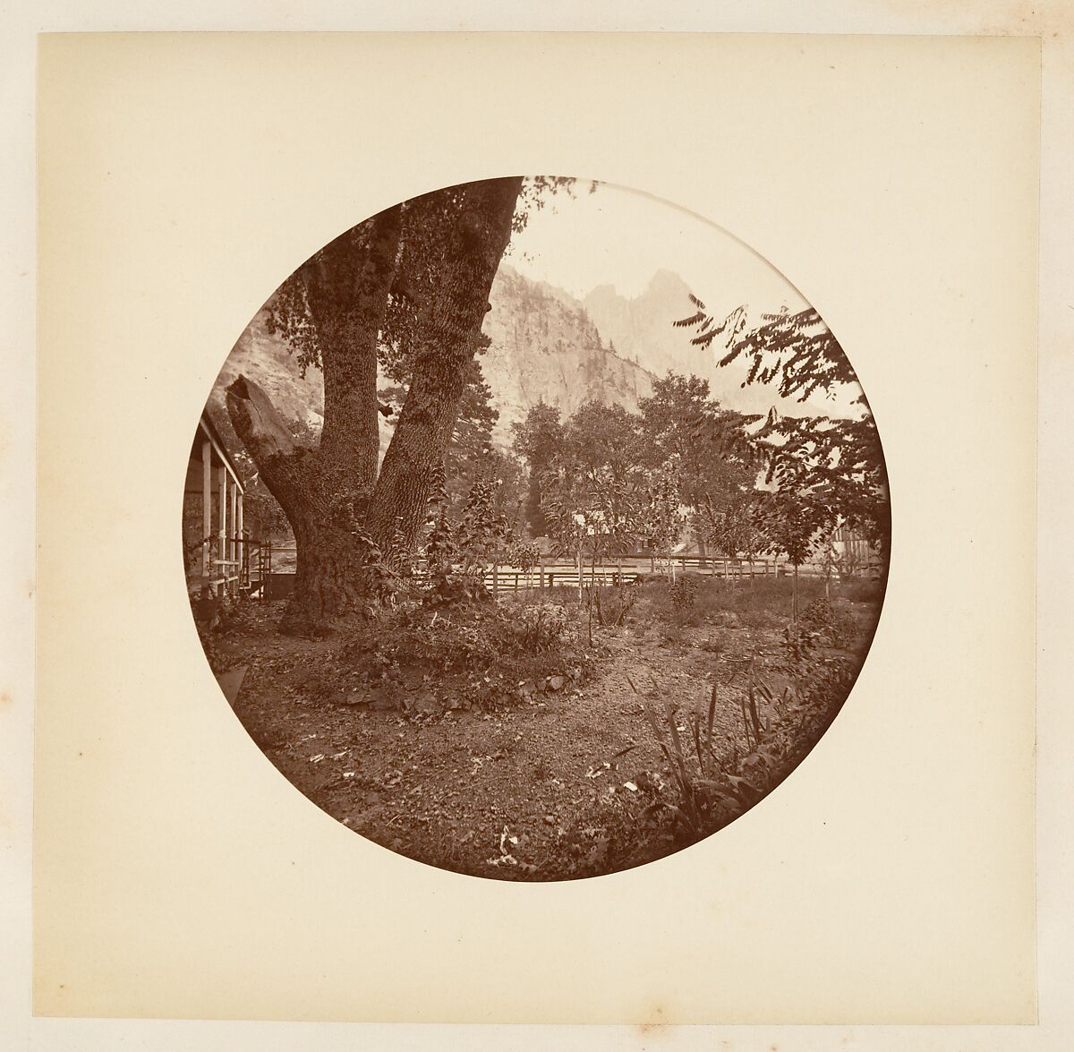 [Trees in Calaveras Grove and Views of Yosemite, California], Carleton E. Watkins (American, 1829–1916), Albumen silver prints from glass negatives