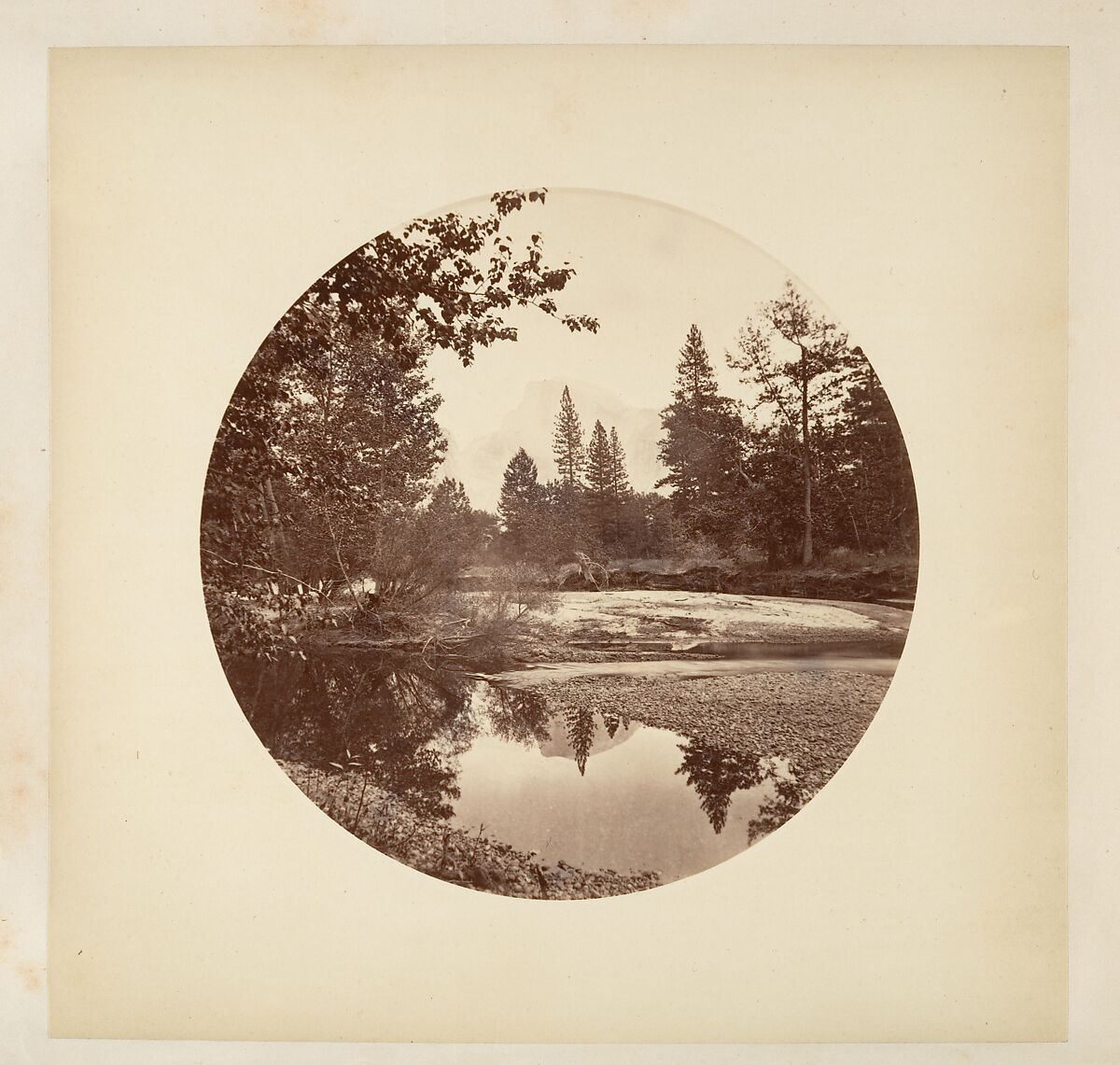 [Trees in Calaveras Grove and Views of Yosemite, California], Carleton E. Watkins (American, 1829–1916), Albumen silver prints from glass negatives