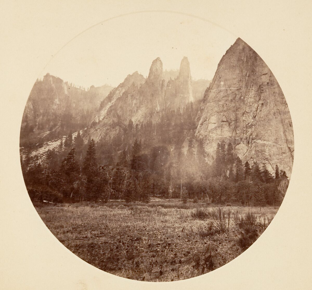 [Trees in Calaveras Grove and Views of Yosemite, California], Carleton E. Watkins (American, 1829–1916), Albumen silver prints from glass negatives