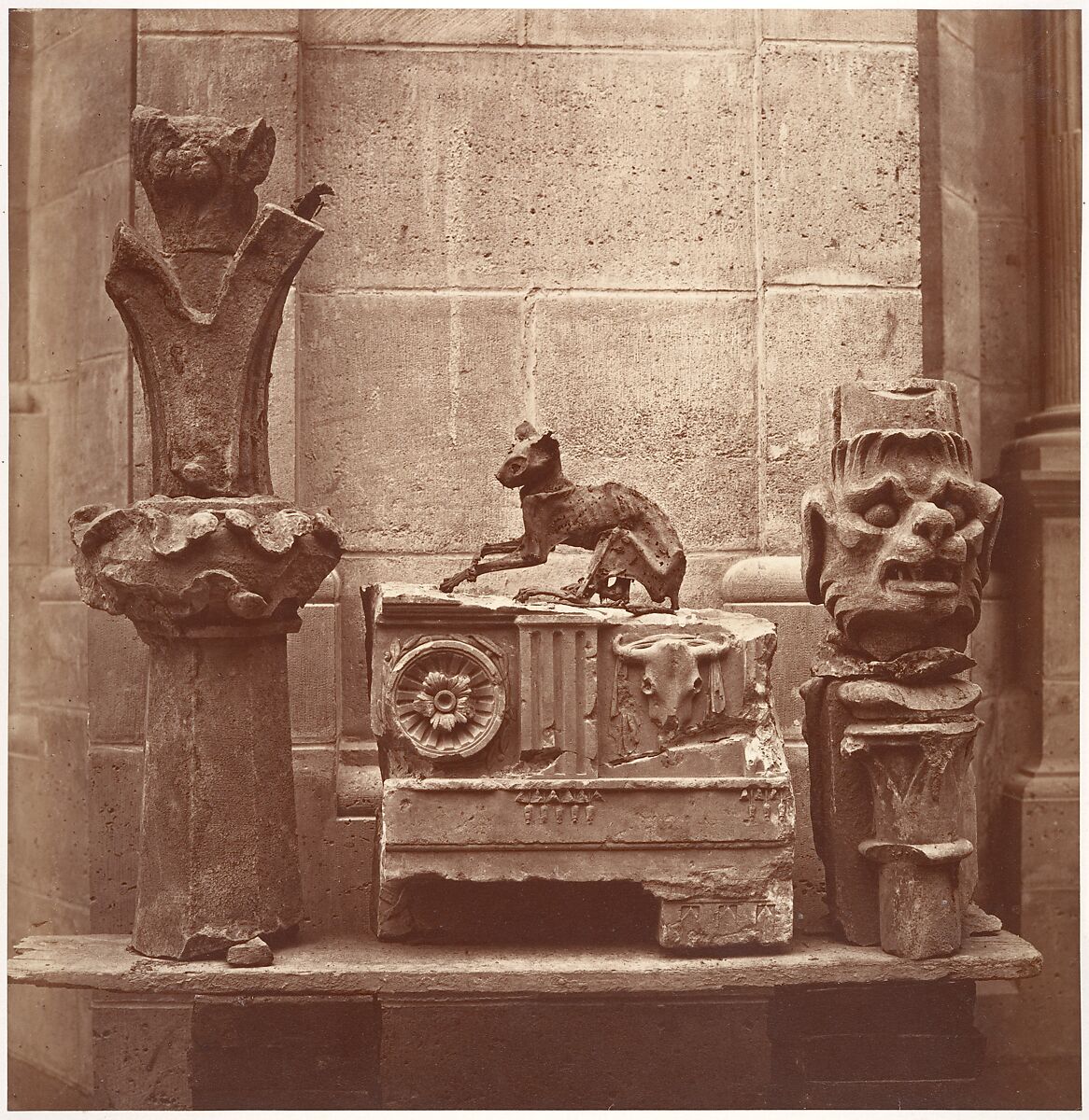 Le Chat Momifié (trouvé dans les fouilles de Saint-Germain-en-Laye), Charles Marville (French, Paris 1813–1879 Paris), Albumen silver print from glass negative 