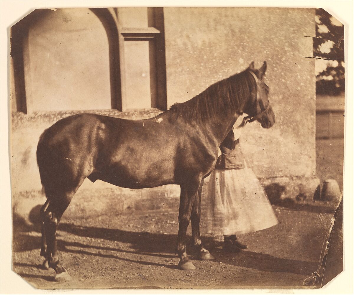 Sultan, Nevil Story Maskelyne (British, 1823–1911), Salted paper print from glass negative 