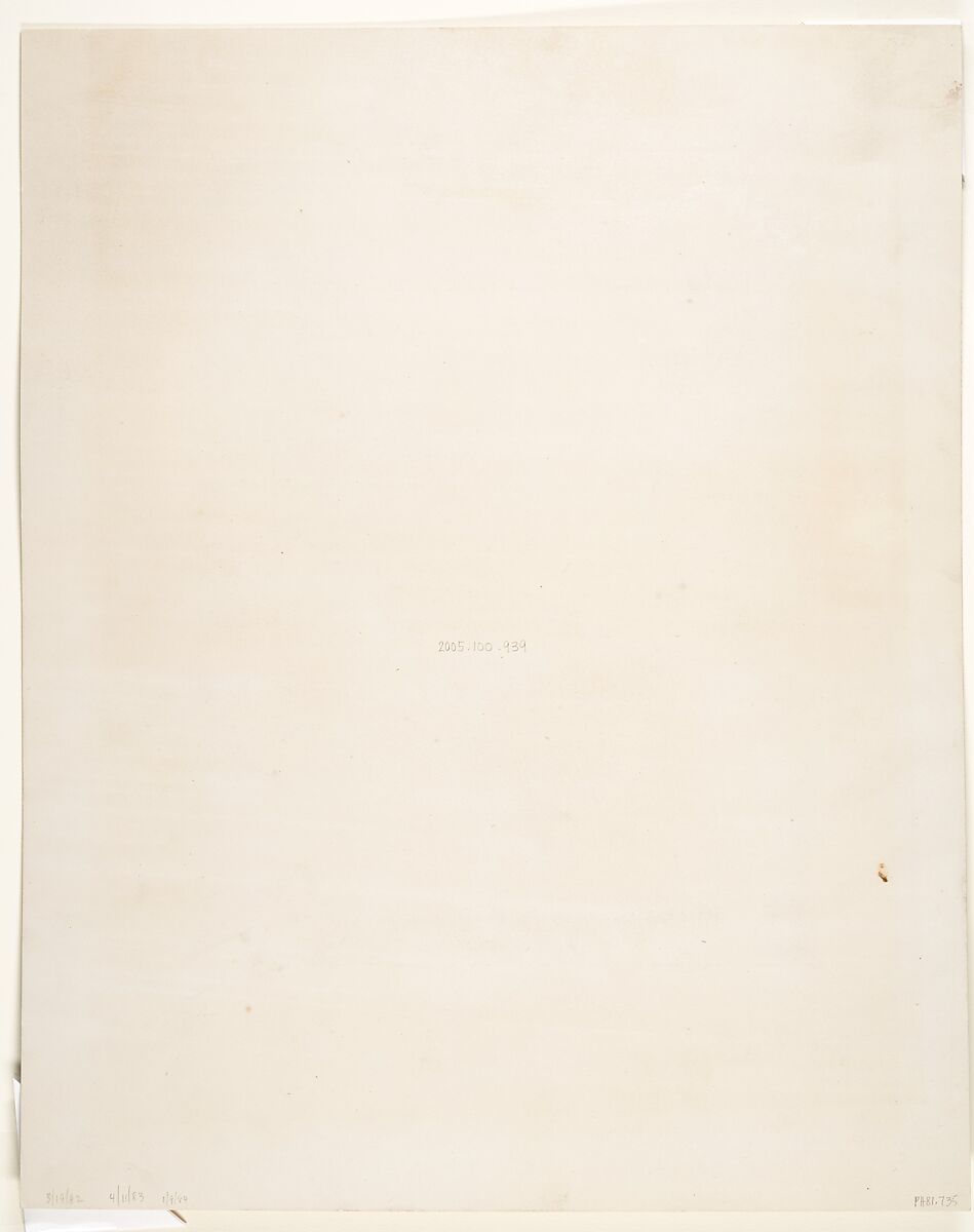 Tropical Scenery, Forest Near Turbo, John Moran (American (born England), Bolton, Lancashire 1821–1903 Pennsylvania), Albumen silver print from glass negative