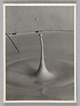 Drop of Milk, Harold Edgerton (American, 1903–1990), gelatin silver prints