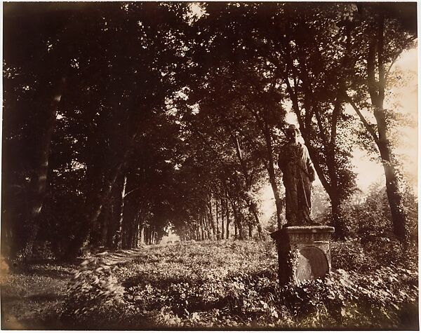 Parc de Sceaux, Eugène Atget (French, Libourne 1857–1927 Paris), Gelatin silver print from glass negative 