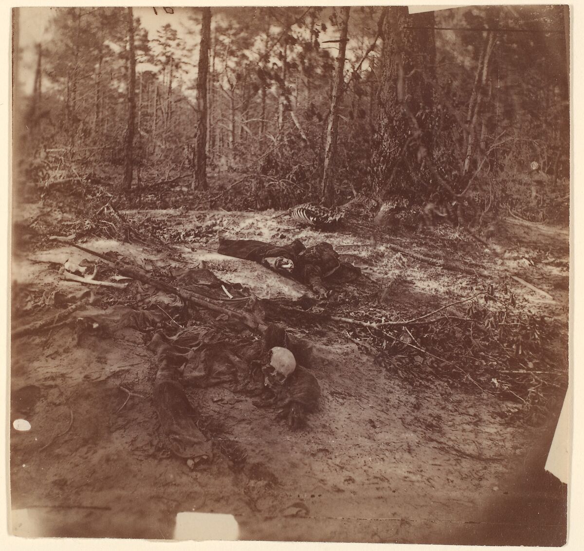 [The Wilderness Battlefield], Unknown (American), Albumen silver print from glass negative 