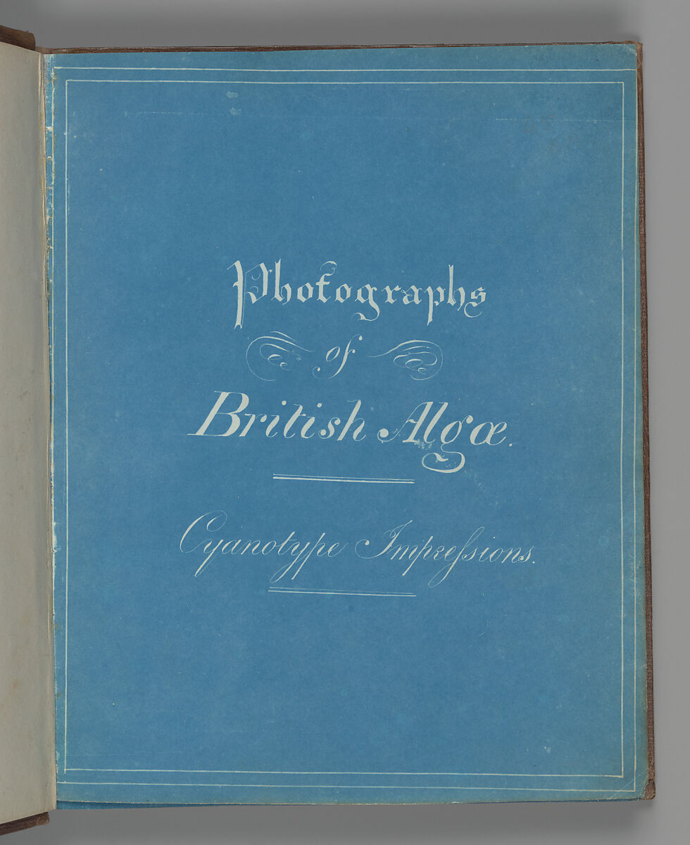 Photographs of British Algae: Cyanotype Impressions, Anna Atkins (British, 1799–1871), Cyanotypes 