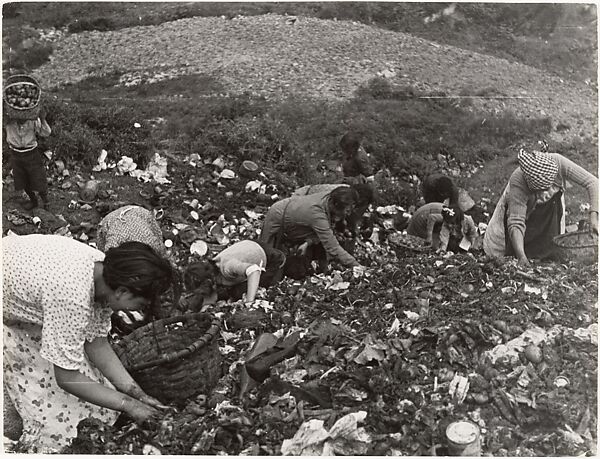 Civilians Looking through Garbage, Robert Capa (American (born Hungary), Budapest 1913–1954 Thai Binh), Gelatin silver print 