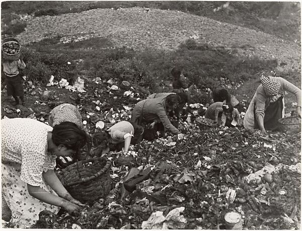 Civilians Looking through Garbage