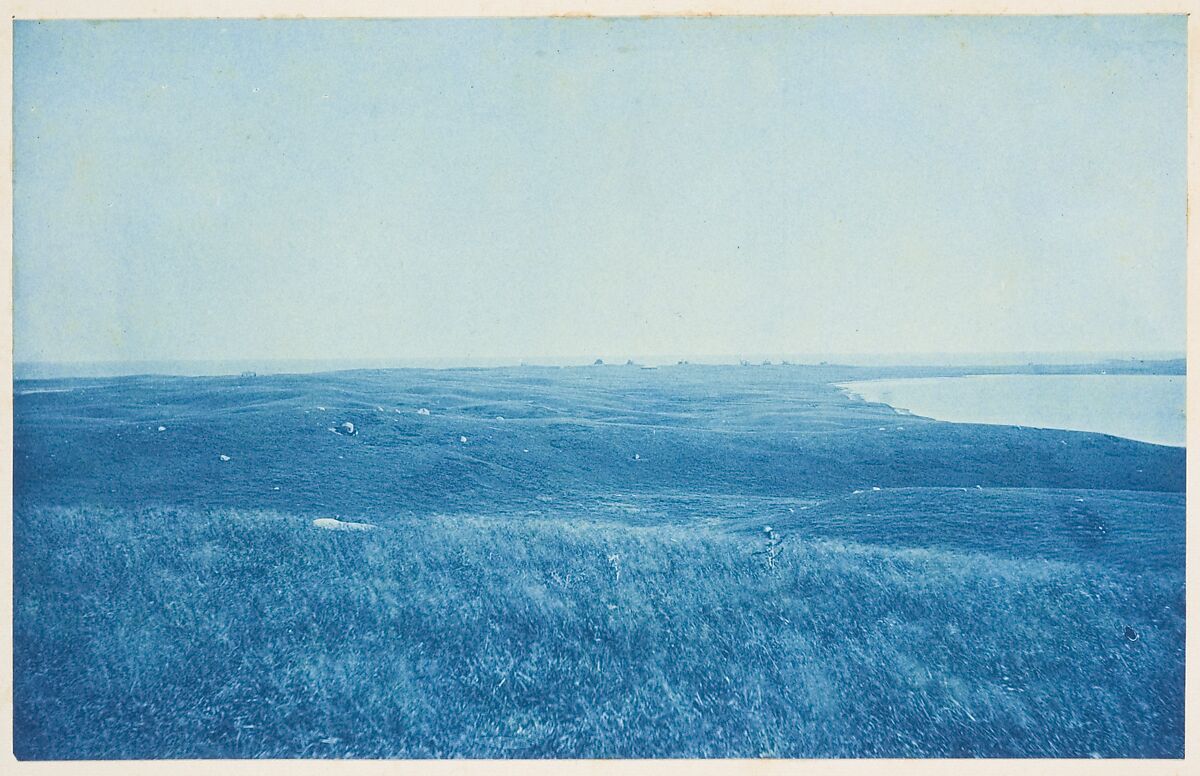 [Album of Photographs of the Land and Summer Cottages Owned by the Montauk Association, Montauk, New York], Unknown (American), Cyanotypes 