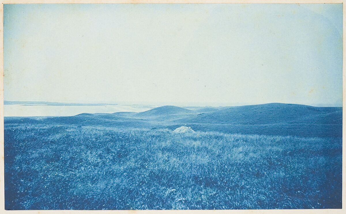 [Album of Photographs of the Land and Summer Cottages Owned by the Montauk Association, Montauk, New York], Unknown (American), Cyanotypes