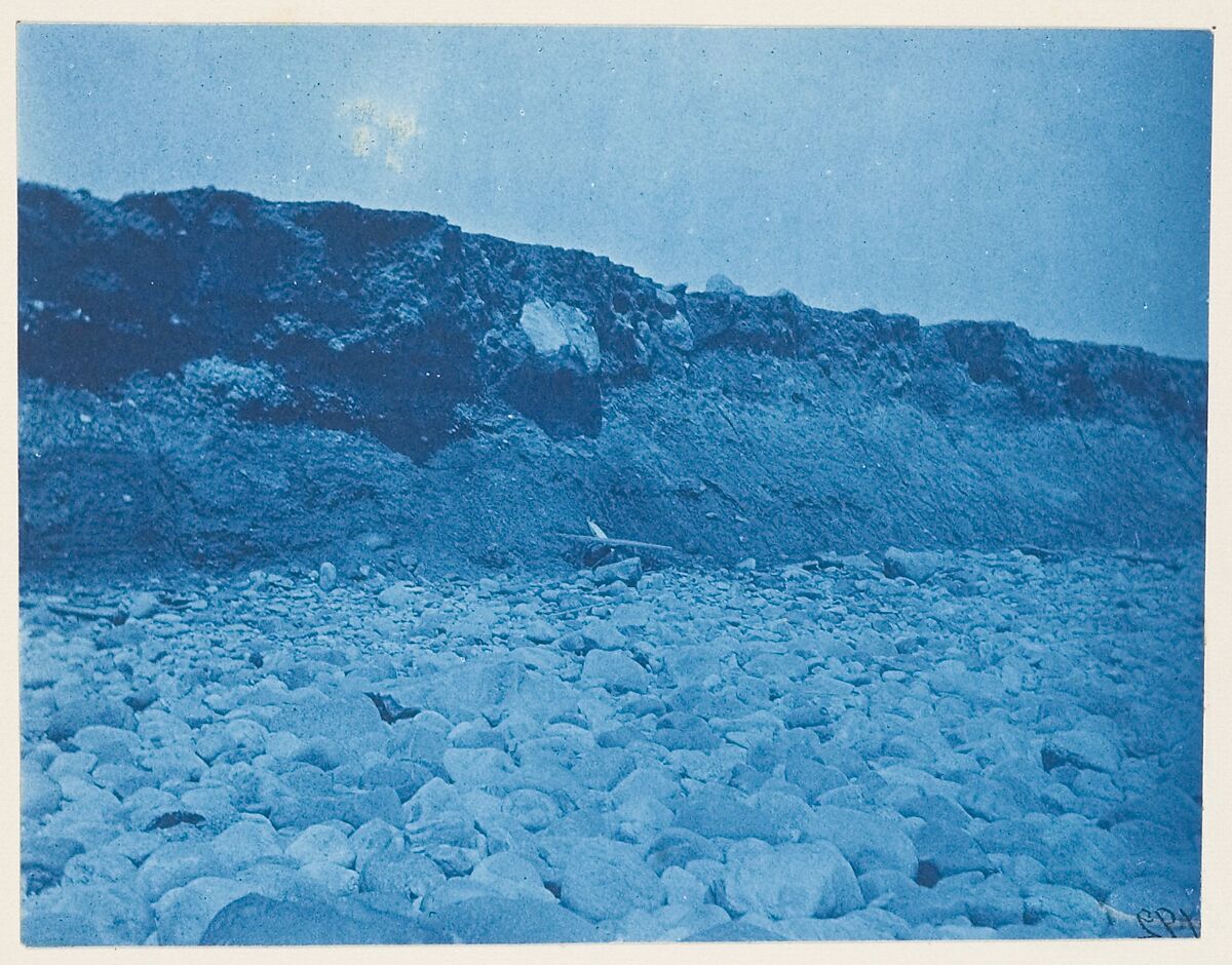 [Album of Photographs of the Land and Summer Cottages Owned by the Montauk Association, Montauk, New York], Unknown (American), Cyanotypes