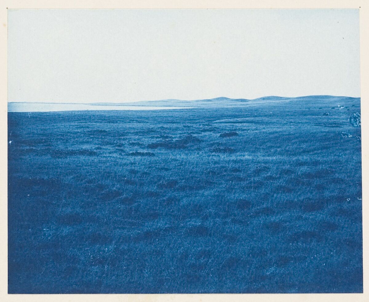 [Album of Photographs of the Land and Summer Cottages Owned by the Montauk Association, Montauk, New York], Unknown (American), Cyanotypes