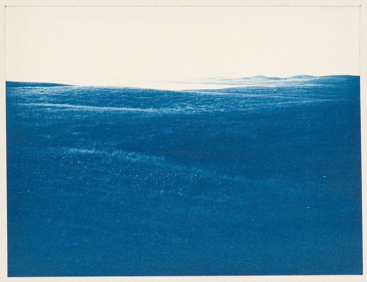 [Album of Photographs of the Land and Summer Cottages Owned by the Montauk Association, Montauk, New York], Unknown (American), Cyanotypes