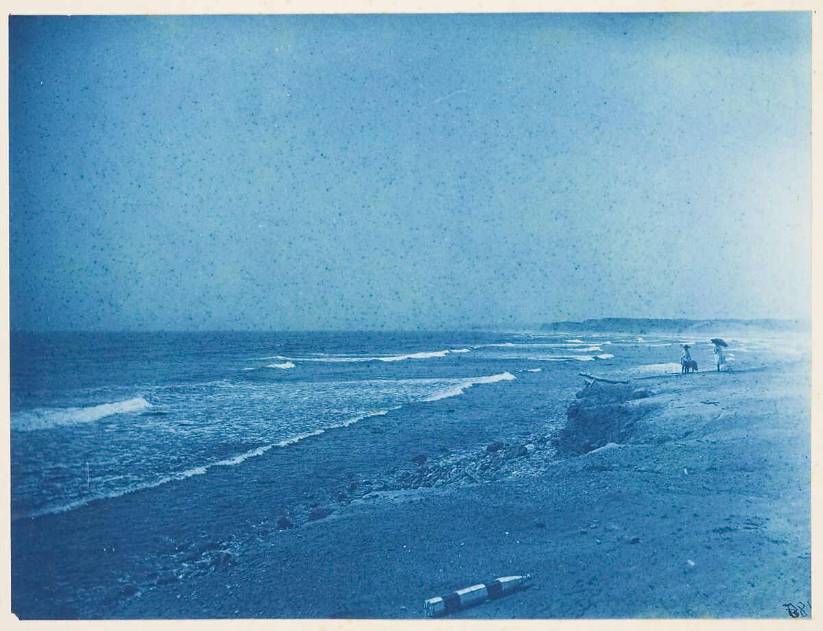 [Album of Photographs of the Land and Summer Cottages Owned by the Montauk Association, Montauk, New York], Unknown (American), Cyanotypes